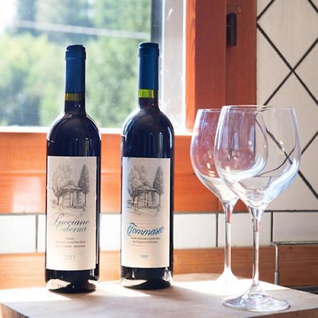 Agriturismo Lucciano San Casciano in Val di Pesa Ngoại thất bức ảnh
