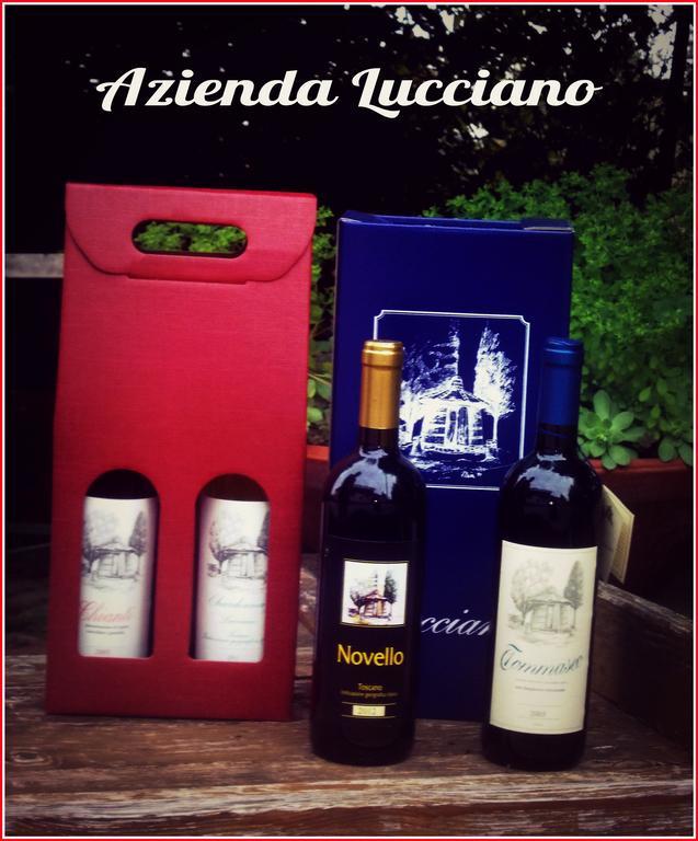 Agriturismo Lucciano San Casciano in Val di Pesa Phòng bức ảnh