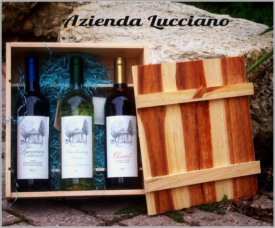 Agriturismo Lucciano San Casciano in Val di Pesa Phòng bức ảnh