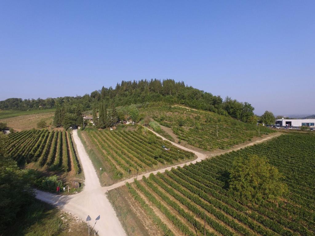 Agriturismo Lucciano San Casciano in Val di Pesa Ngoại thất bức ảnh