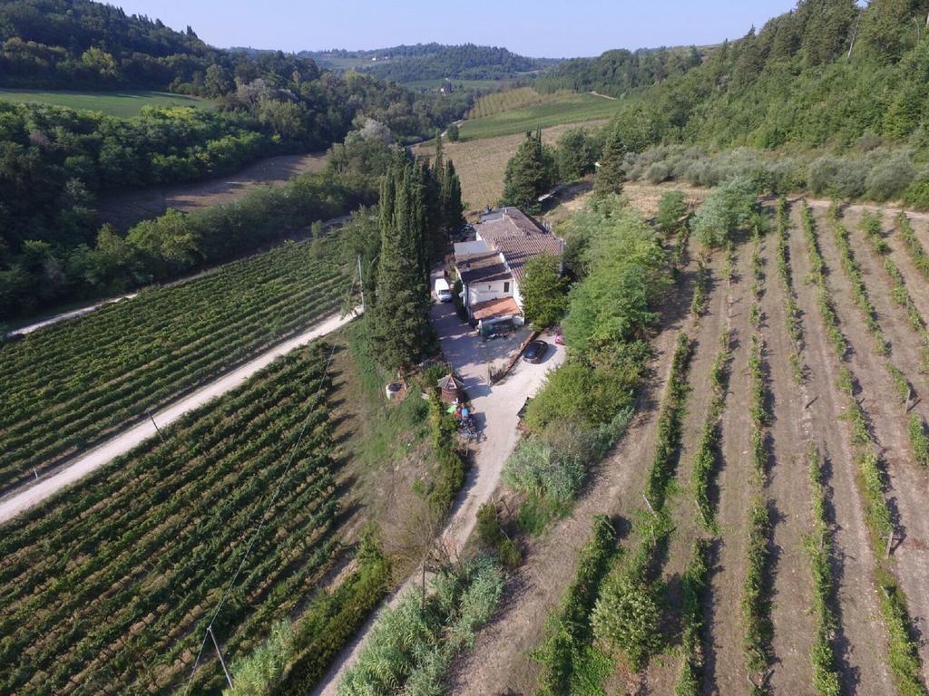 Agriturismo Lucciano San Casciano in Val di Pesa Ngoại thất bức ảnh