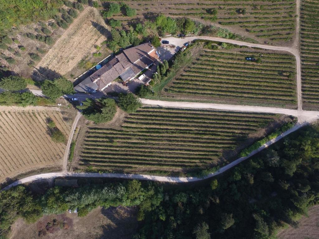 Agriturismo Lucciano San Casciano in Val di Pesa Ngoại thất bức ảnh