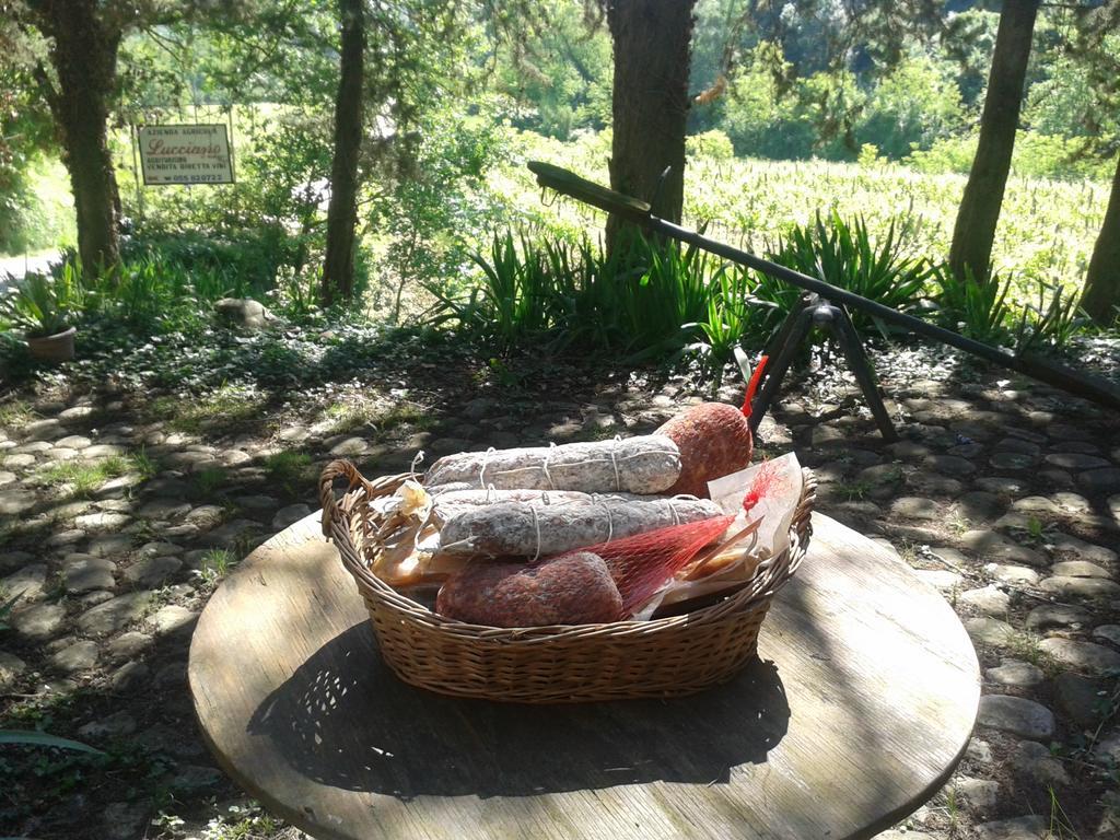 Agriturismo Lucciano San Casciano in Val di Pesa Ngoại thất bức ảnh